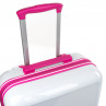 Cabin cases Stickers rigid/soft with capacity of 38 L